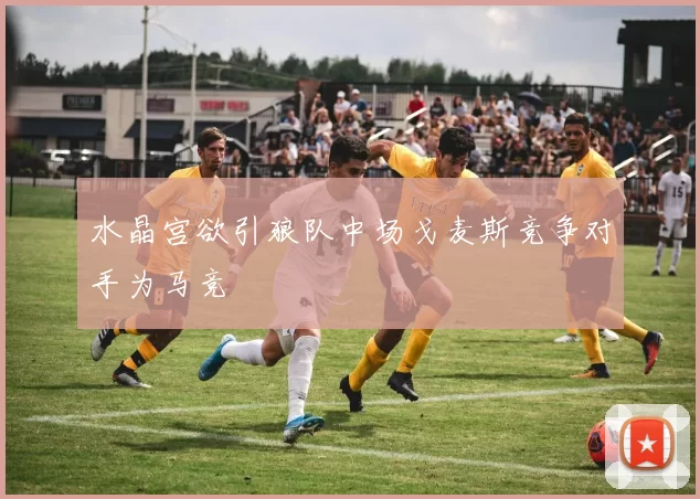 水晶宫欲引狼队中场戈麦斯竞争对手为马竞