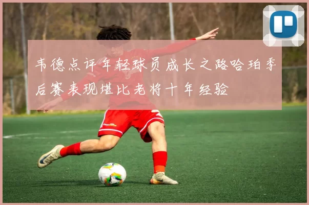 韦德点评年轻球员成长之路哈珀季后赛表现堪比老将十年经验